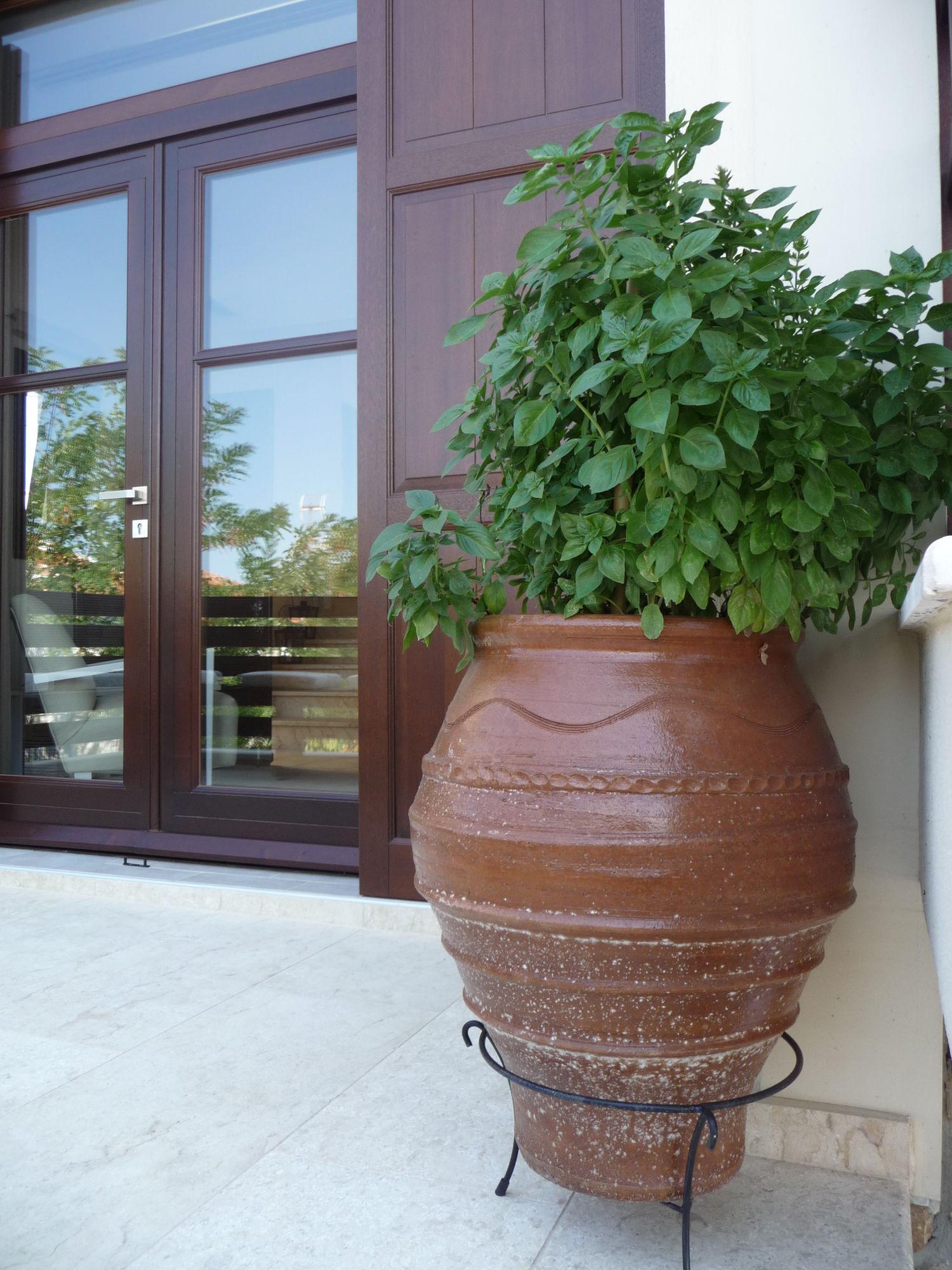 Helianthus Guesthouse Amoliani Exterior foto